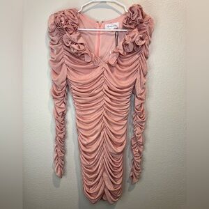Amable‎ by Mable Anthropologie Rose Pink Rouched Party Dress Size S